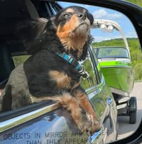 Shannon Yates's profile image