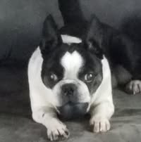 Gregg Mellott Sr.'s profile image