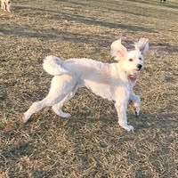 Amy Rush's profile image