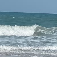 Saundra Kay Sleighter's profile image