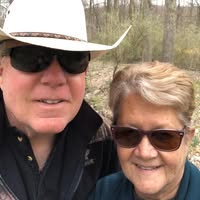 Sue Oehmig's profile image