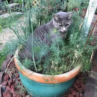 Carmen Carter's profile image