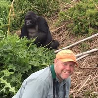 Mark Abdy's profile image