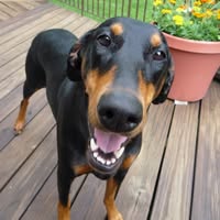 Carol Engel's profile image
