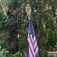 Judy Ellis Myler's profile image