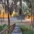 Brenda Williams P.'s profile image