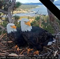Debi Besse's profile image