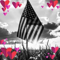 Melissa Karanjia's profile image