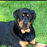 Missy Steward's profile image