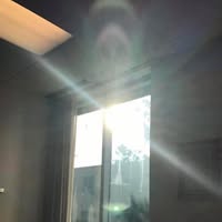 Madelyn Weed's profile image
