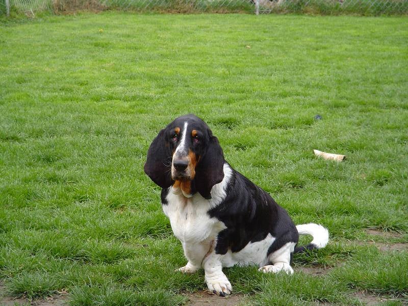 Dick G.'s profile image