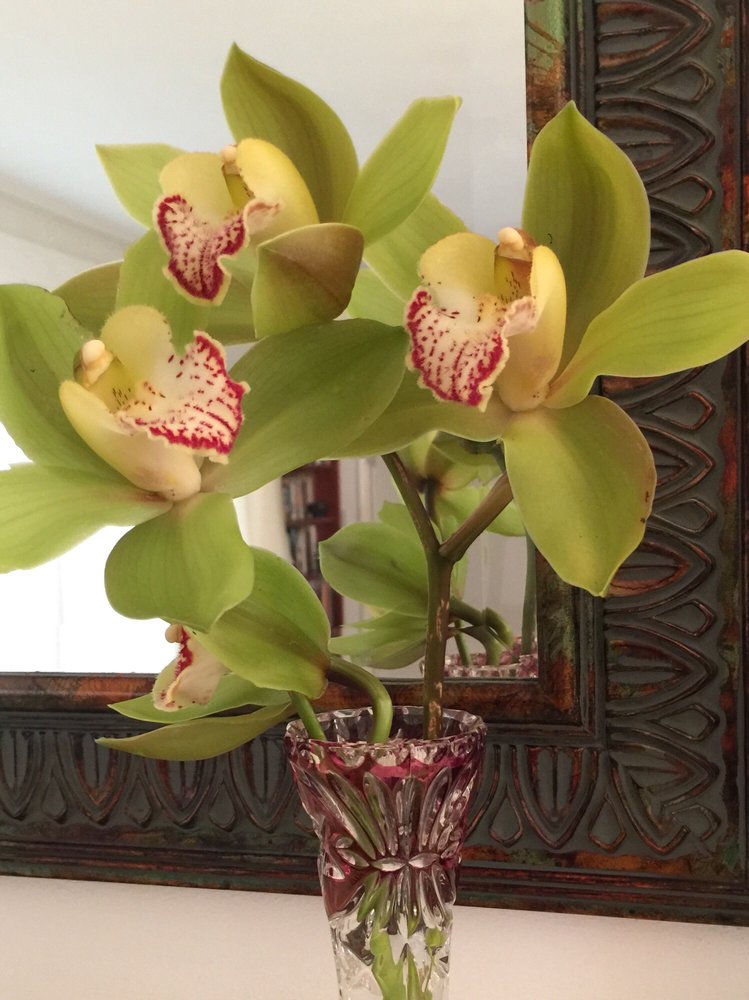 Delilah J.'s profile image