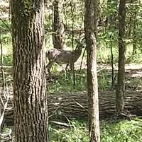 Chris Sparks's profile image