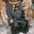 Aaron Pou's profile image