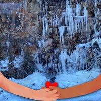 Carolyn Maddox's profile image