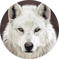 profile-photo