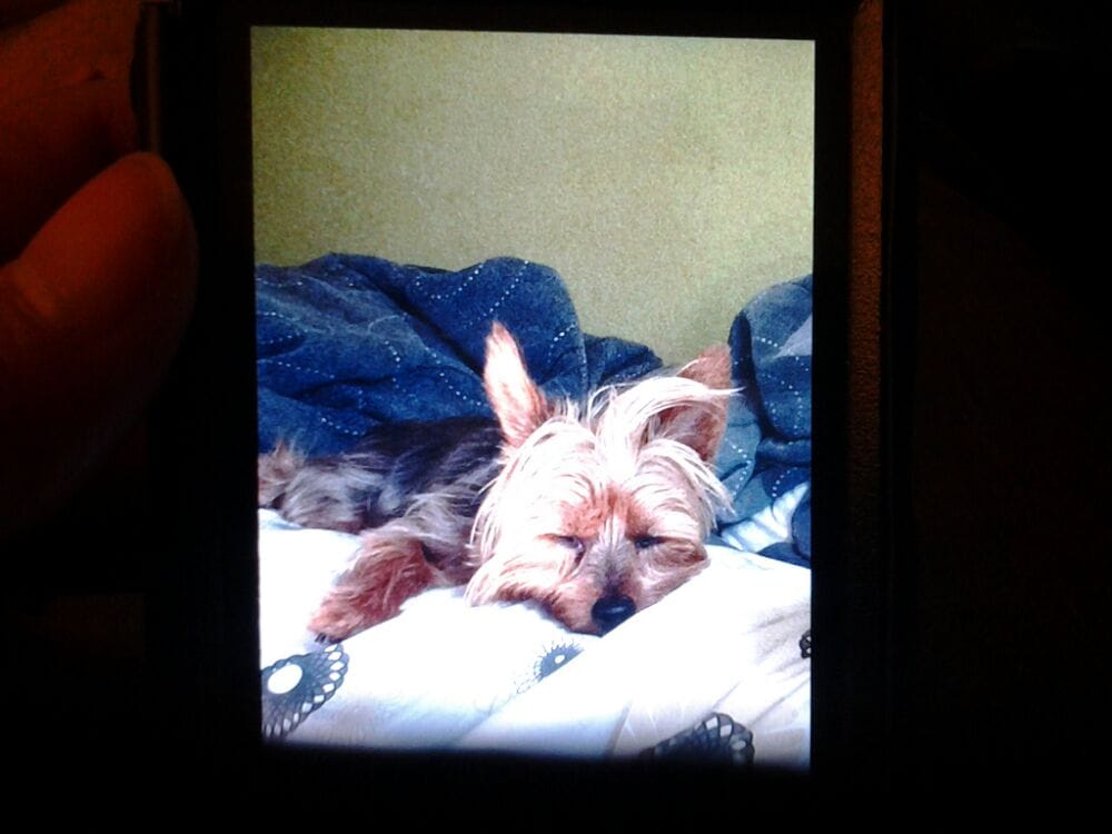 Lizzy M.'s profile image