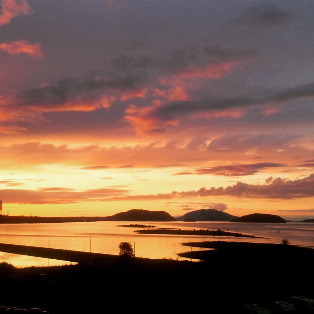 Alison L.'s profile image