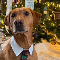 Vickie Muszynski's profile image