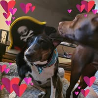 Tanya Crawford's profile image