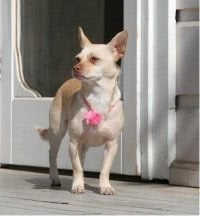 Lucy R.'s profile image