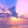 Ramzi M.'s profile image