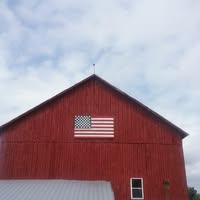 Steve Jung's profile image