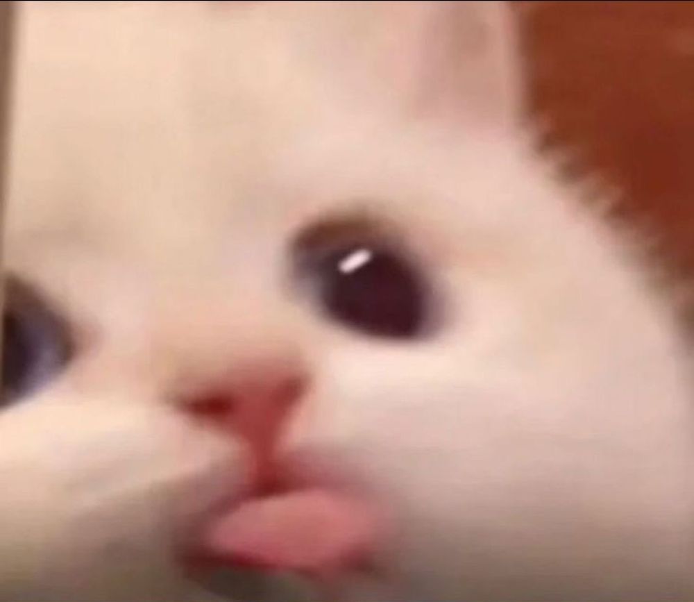 Danny L.'s profile image