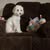 Gracie Napierkowski's profile image