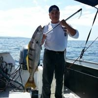 Mario Fierro P.'s profile image
