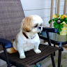 Danette S.'s profile image
