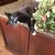 Darlene B.'s profile image