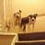 Joann Clark's profile image