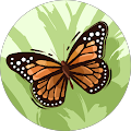 bu2tfl y's Profile Image