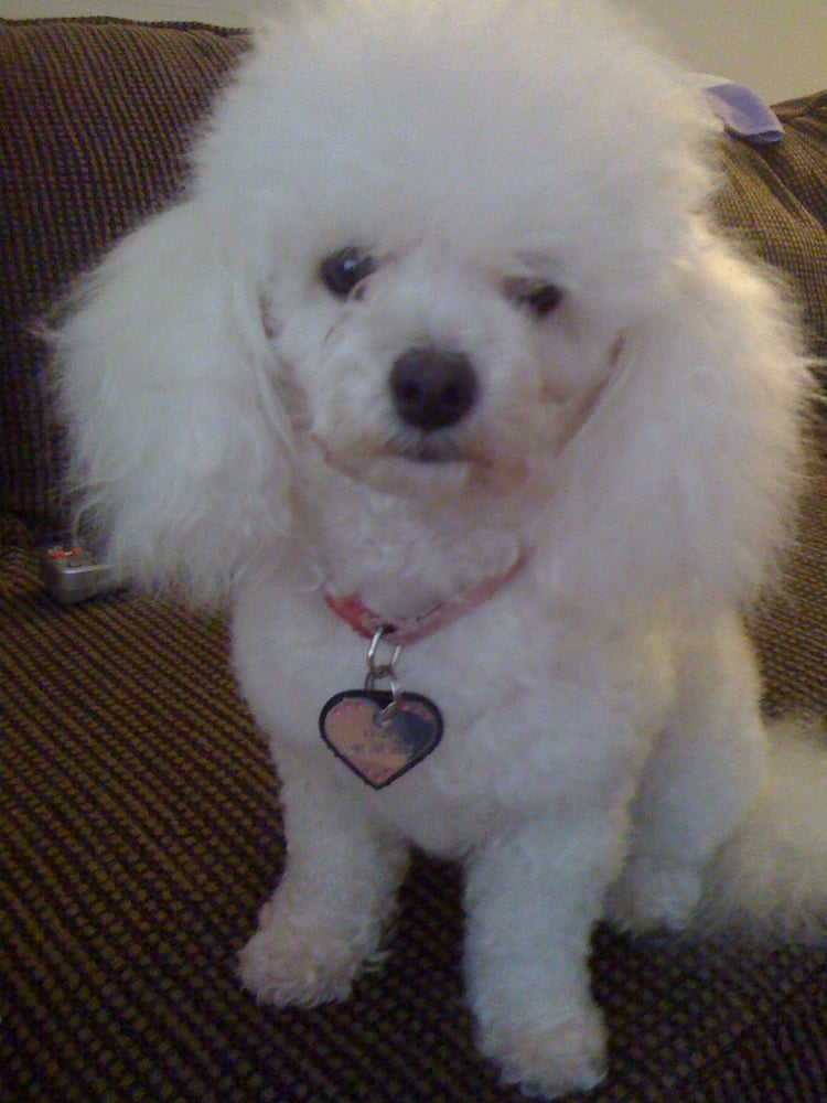 Perla R.'s profile image