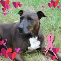 Trudy Strong's profile image