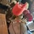 Carmel Candi's profile image