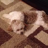 Dori Tee-Cranmore's profile image