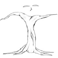 Troy Adams's profile image