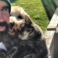 Dave Hogan's profile image