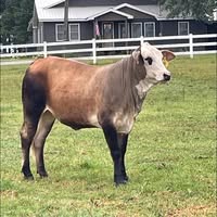 Kevin Stewart's profile image