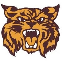 Lynx Softball's profile image