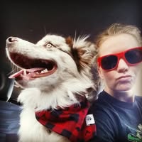 Amy Lu Allen's profile image