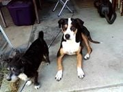 Joan W.'s profile image