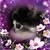 Donna Omine's profile image