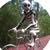 Jef Johnston's profile image