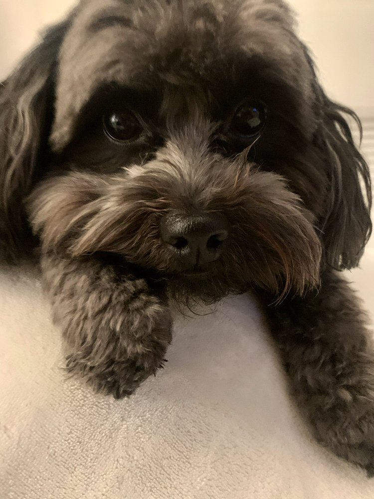 Liliana M.'s profile image