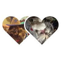 Tracy Lynn's profile image