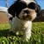 Monica Robles-Lopez's profile image