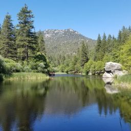 Rosalba C.'s profile image